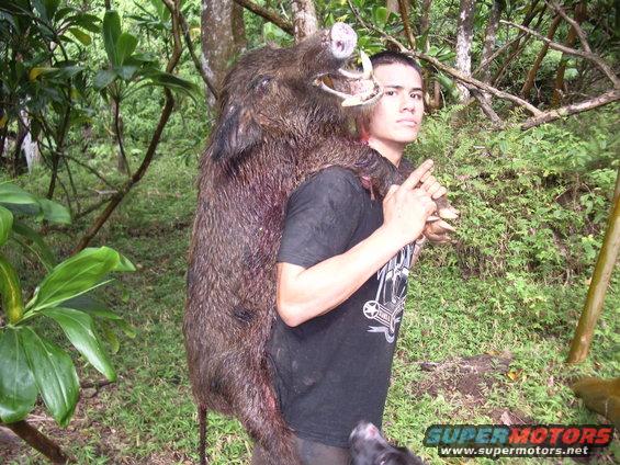 Man with a large wild boar draped over his shoulders in a forest