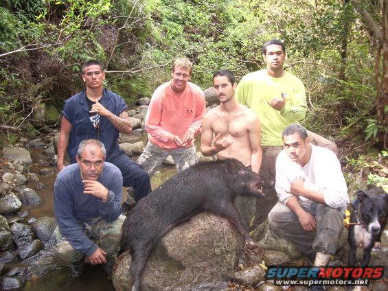 Group of six men and a dog pose with a large wild boar carcass on a rock by a stream