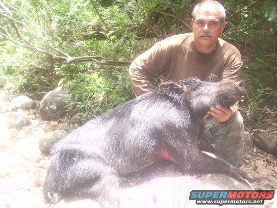 man holding a large wild boar he hunted, outdoors near rocks and trees