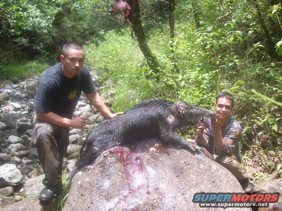 Two men pose with a large dead wild boar on a rock near a stream. One man is on the left, the other on the right