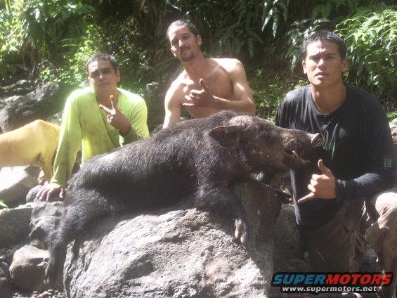 Three men with a wild boar on a rock, one dog in background