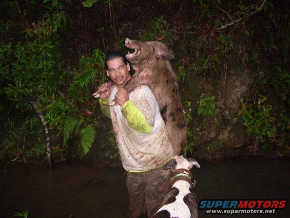 Man carrying wild boar, dog present