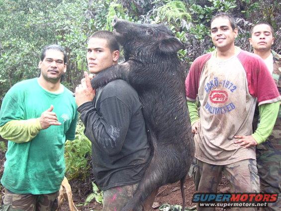 Wild boar held by a man, with three other men standing behind him in a wooded area