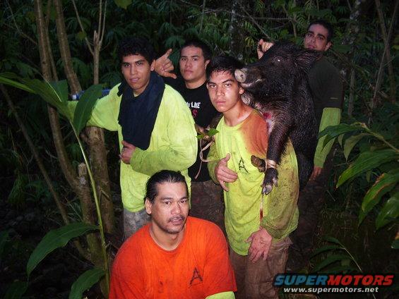 Five men pose with a large wild boar they have hunted