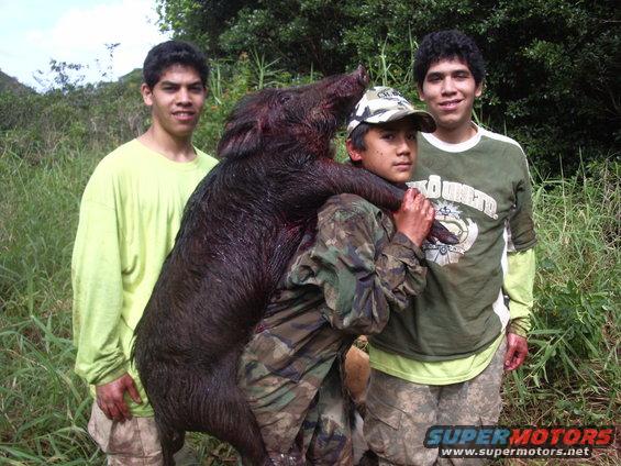 Three guys with a big dead wild boar they hunted. One guy is carrying it over his shoulders