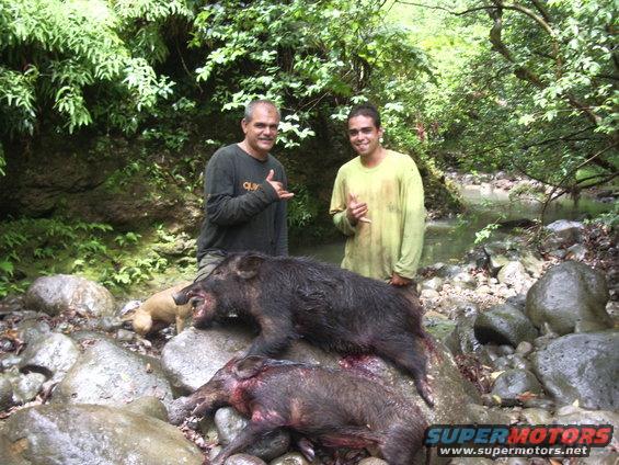 Two dead wild boars lie on rocks near a stream, with two men standing behind them