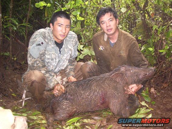 Two men in hunting attire pose with a large wild boar in a wooded area