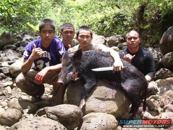 Four guys with a dead wild boar on rocks, one holding a knife