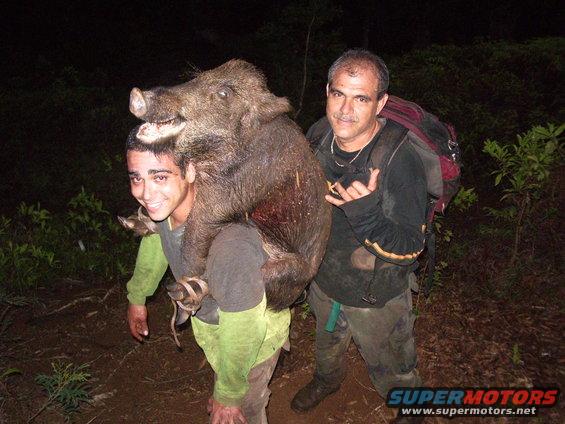 Two men carry a large wild boar on their shoulders in a wooded area at night