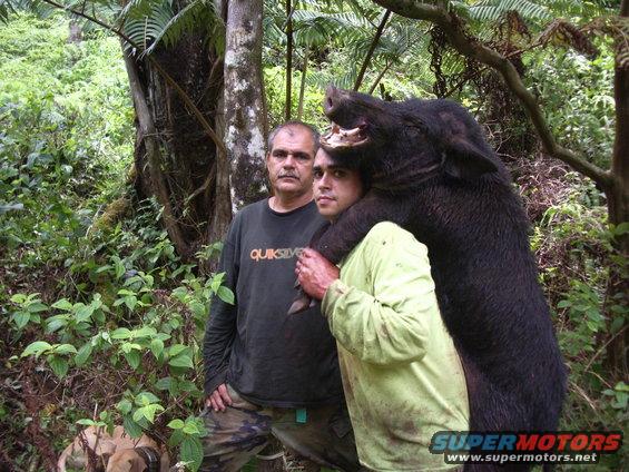 Two guys in a forest with a large wild boar slung over one of their shoulders. The boar has its mouth open