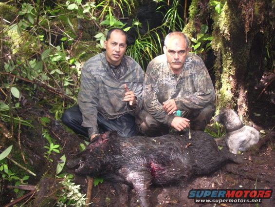 Two guys in camo pose with a dead wild boar in a forest. A dog is nearby