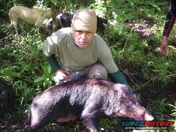Man in beanie and green shirt crouches over a dead wild boar, with two dogs in the background