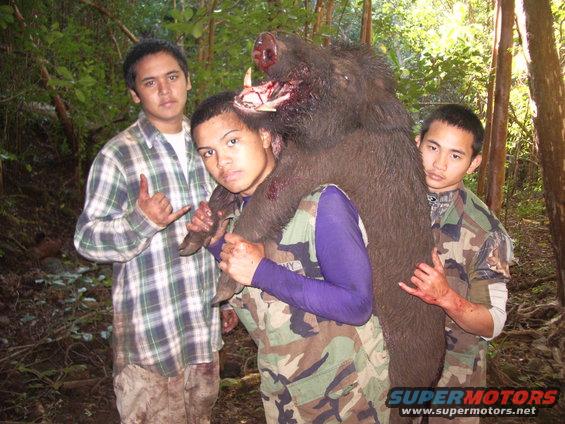 Three men in camouflage and plaid shirts pose with a large wild boar carcass in a wooded area