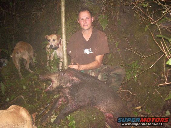 man with dead wild boar and dogs in woods