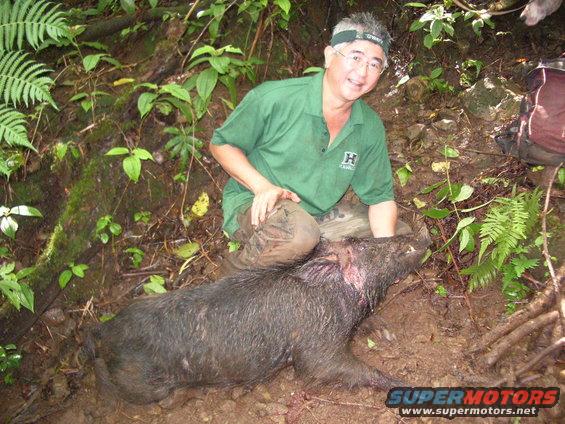 Man in green shirt and camouflage pants kneels next to a wild boar on a muddy forest floor