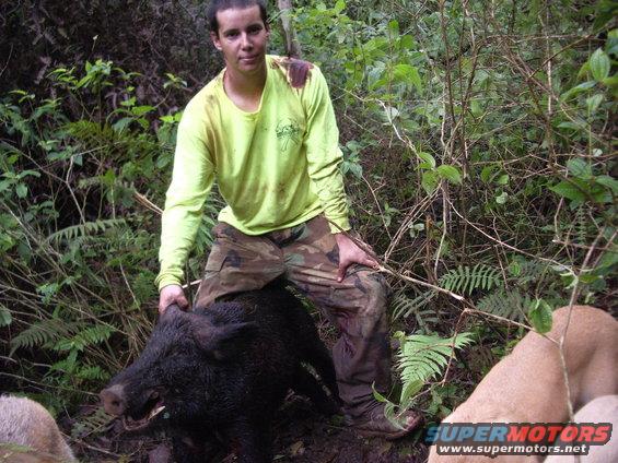 Man in yellow shirt and camouflage pants holding a large wild boar in a wooded area