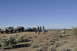 1991 Ford Bronco - A convoy of off-road vehicles is gathered in a desert environment under a clear blue sky.