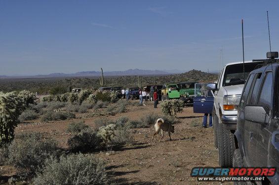 Several off-road vehicles parked in a desert landscape with cacti and mountains in the background. A dog walks in the foreground