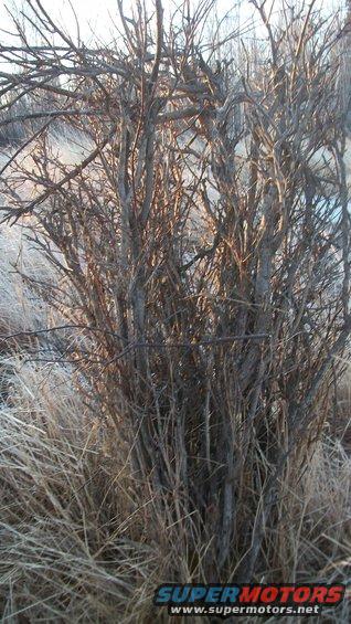 100_1062.jpg