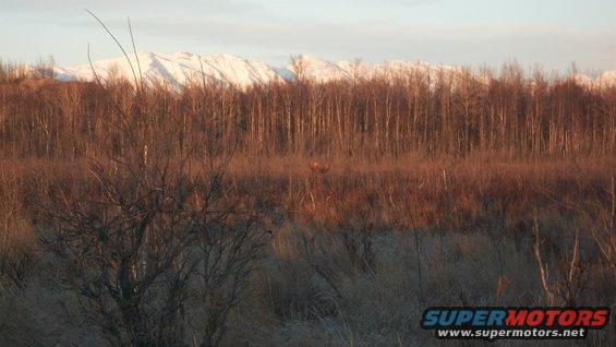 100_1069.jpg