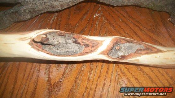 100_1088.jpg 