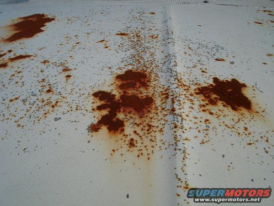 Close-up of a white vehicle hood with significant rust spots and patches