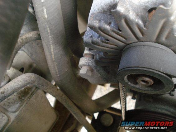 Close-up of an alternator with a ribbed belt and hoses in an engine bay