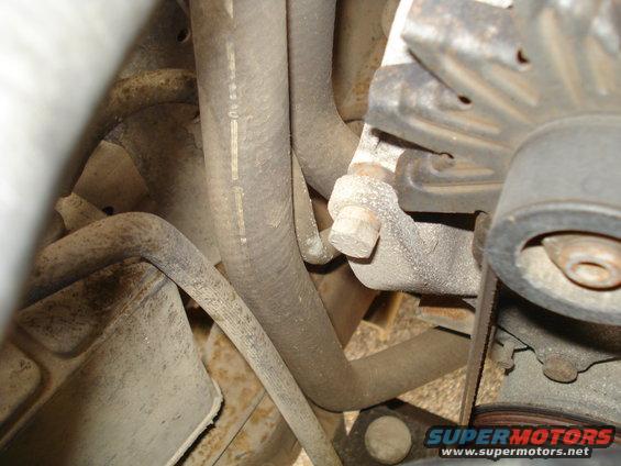 Close-up of hoses and alternator in an engine bay
