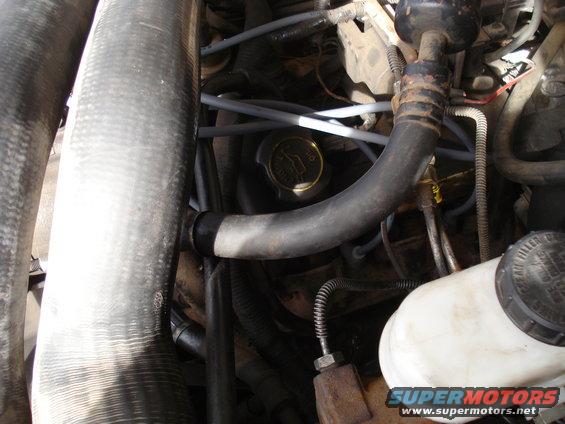 Engine bay with hoses, fluid reservoir, and a yellow cap