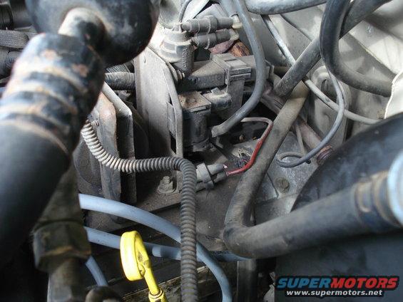 Close-up of engine bay with hoses, wires, and some electrical components visible