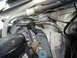 1989 Ford F-250 - This image shows various engine bay components, including vacuum lines and electrical connectors, with some wear visible on hoses.