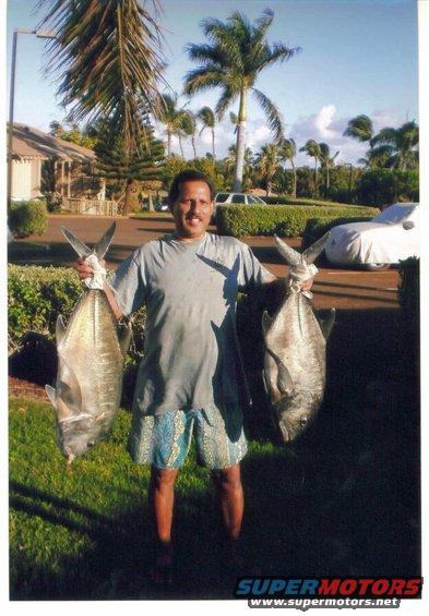 Man holding two large fish with palm trees and a covered car in the background