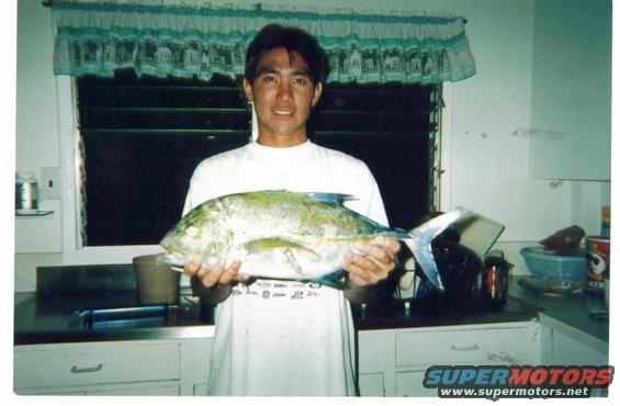 Kai Kondo. For authentic Japanese fish prints, please visit Kai's site at kondogyotaku.net.