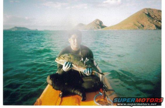 ryan-diving.jpg Ryan Tambalo in Kaneohe Bay.