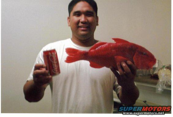 Like I said before , Ryan Tambalos 4 lb., 17 inch, FREAK KUMU from Molokai.