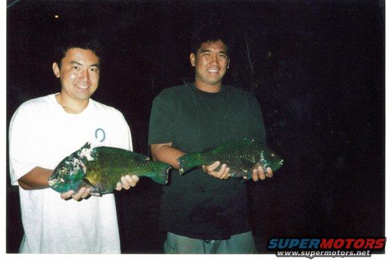 Two men smiling and holding large fish they caught