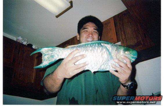 Ryan Tambalo and his Uhu.