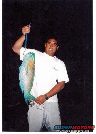 Ryan Tambalo and his 13 lb UHUZILLA! Originally posted as 16 lbs by mistake but Ryan quickly corrected me. Apologies to the record holder. This Uhu was so thick that the spear didnt even go through its head.