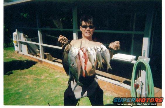 fish-pics-11.jpg Kai Kondo. For some awesome, authentic Japanese art, do to kondogyotaku.net 