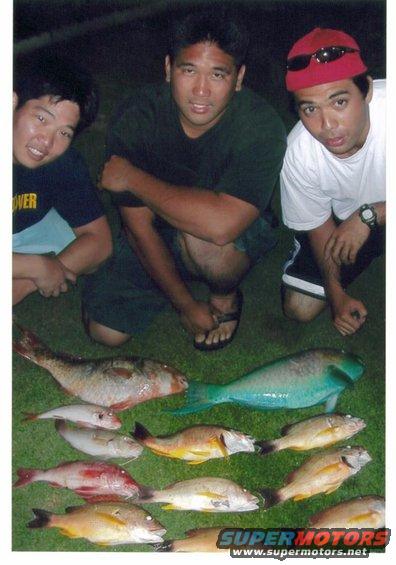 Three men pose with a variety of fish laid out on grass