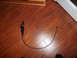 1998 Ford Crown Victoria - A car door latch cable assembly is shown lying on a wood floor.