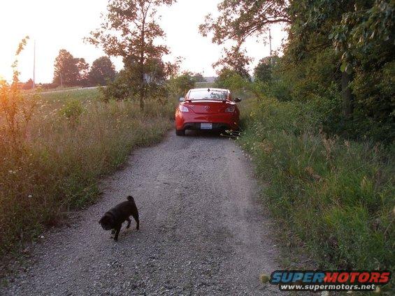coupe-by-old-fiddler-from-back.jpg