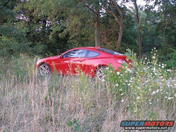 Red 2010 Hyundai Genesis coupe parked in tall grass