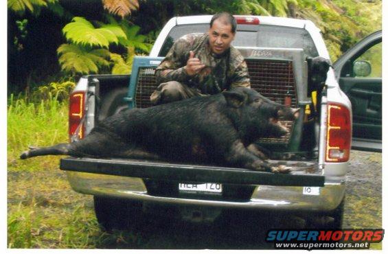 Rooster Balaz with his 170 lb on scale hog in the truck.