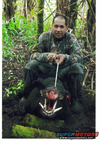 Man with a dead wild boar in a forest setting