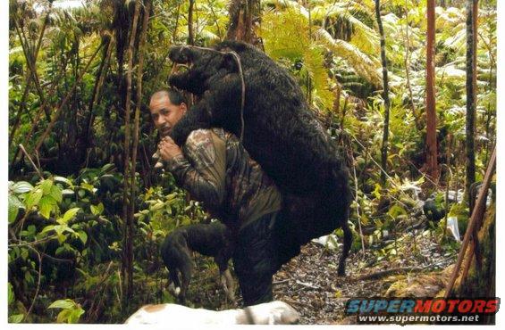 Rooster Balaz and his 180 lb boar sporting full Curl Back tusks!