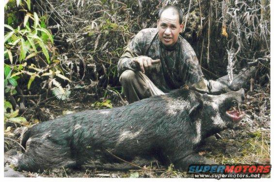 Rooster Balaz with his 220 lb APE!