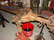 1971 International School Bus - A vehicle's rear axle assembly is supported by jack stands, with a red bucket collecting fluid.