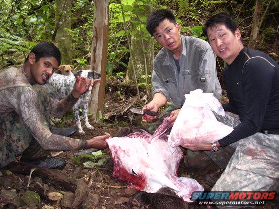 Three men and two dogs with a large animal carcass in a forest clearing