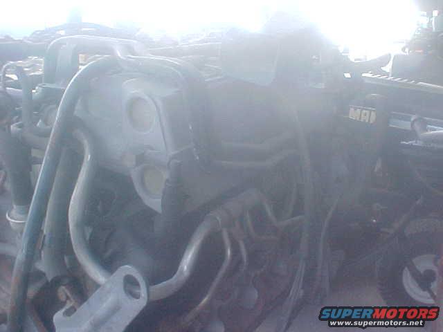 mvc003s.jpg 